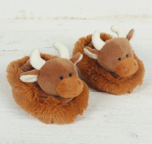 Soft highland cow - cow, baby