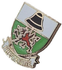 Presteigne Town Small Pin Badge Powys Wales