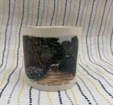 Vintage W H GOSS China Mug Colour Transfer Rustic Bridge Boscombe Chine