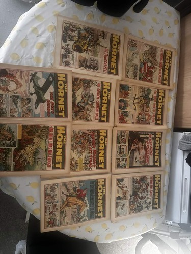 The hornet comics issues - the,
