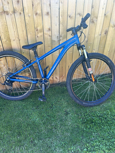 Rockrider 26in blue mountain - 26in,