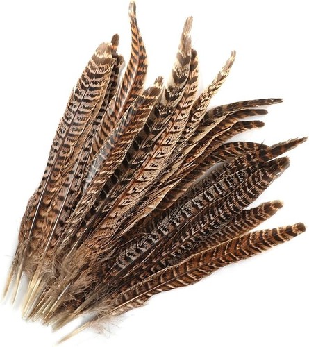 20pcs natural pheasant tails - pheasant,