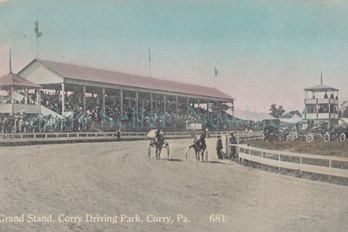 Corry harness horse - corry,