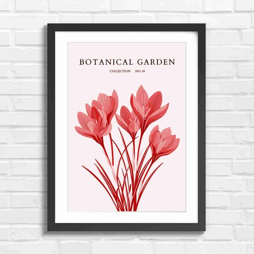Elegant purple crocus - elegant,