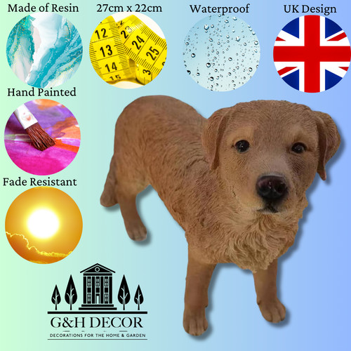 Golden retriever garden dog - retriever,