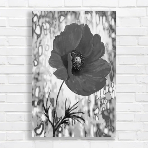 Vibrant red poppy - red, canvas