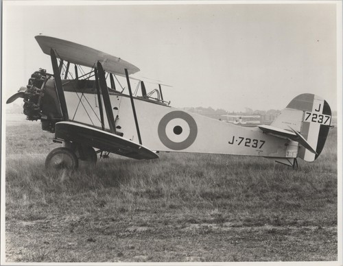 Bristol bloodhound type - type, 84