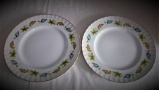 2 x Ridgways WHITE MIST Dinner Plates