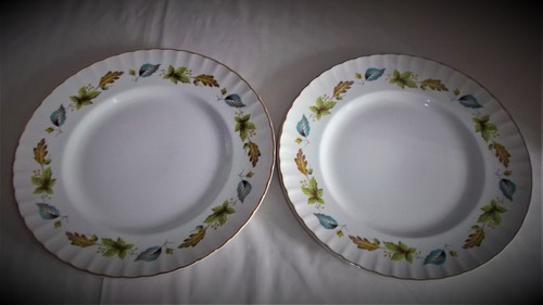 Ridgways white mist dinner - 2,