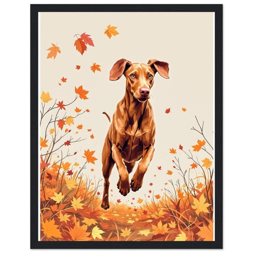 Vizsla autumn framed print - framed,