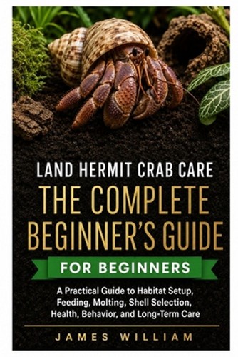 Land hermit crab care the - crab,