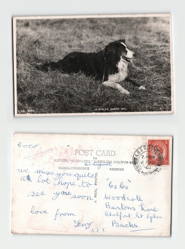 Postcard real photo welsh - postcard,