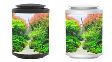 Betta choice acrylic - choice, cylinder