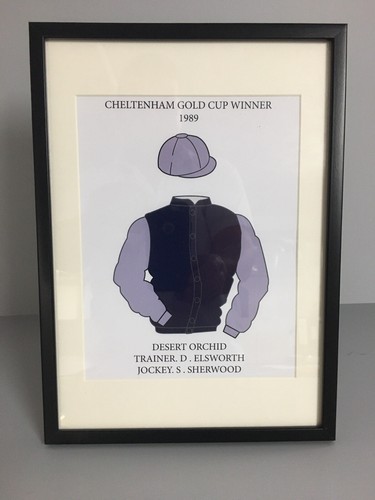 Framed desert orchid jockey - desert,