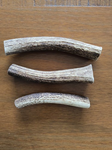 Long deer antler chunks - deer,