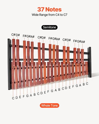 Glockenspiel xylophone 37 - glockenspiel, xylophone,