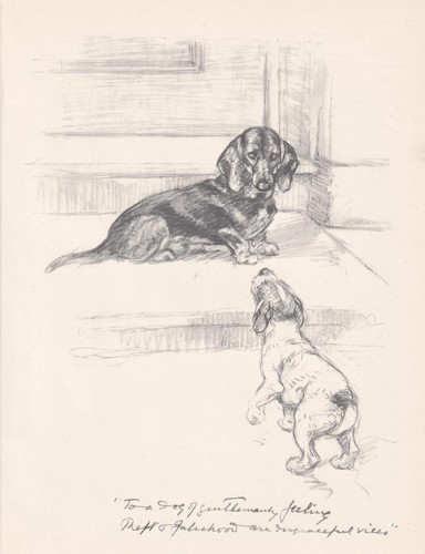 1936 dachshund dog print - 1936,