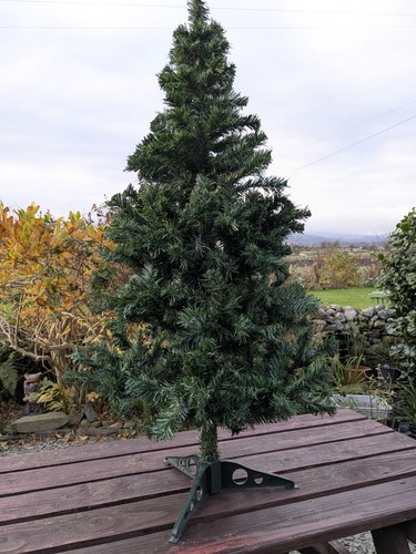 Norway spruce - spruce, 4