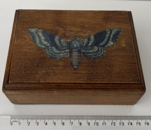 Butterfly moth wooden - a,
