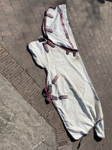 5ft3 horseware amigo aussie - 5ft3,