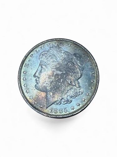 1885 morgan dollar toned - 1885, *toned*