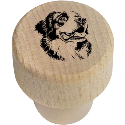 Bernard dog portrait - 'st,