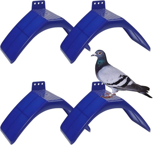 Pcs pigeons rest - 4,