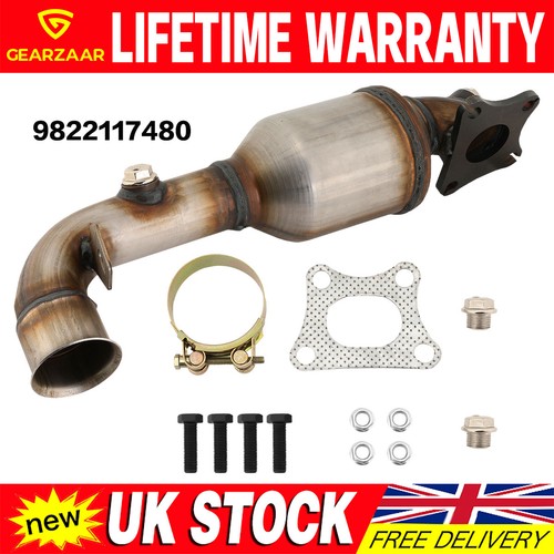 Catalytic converter for - converter,