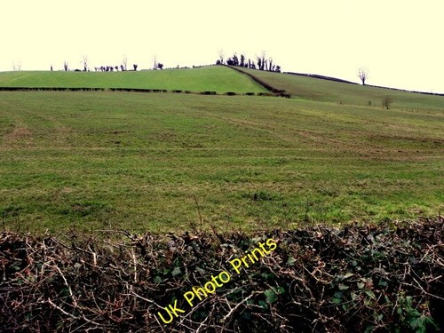 Photo 6x4 slurry covered - slurry,