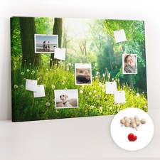 Pinboard Memo School Corkboard