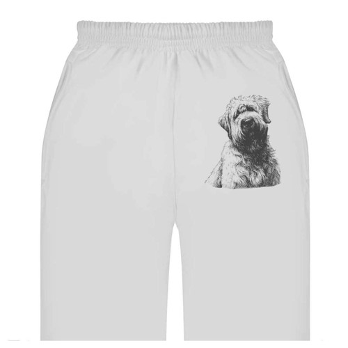 Soft coated wheaten terrier - 'soft,