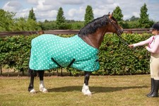 Supreme Products Dotty Fleece