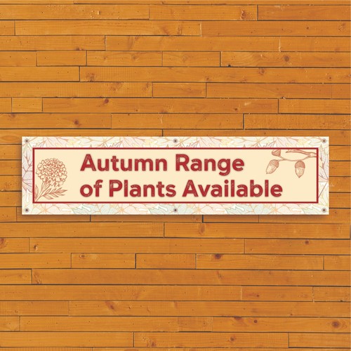 Autumn plants banner - plants,