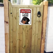 Caution I Live Here Doberman
