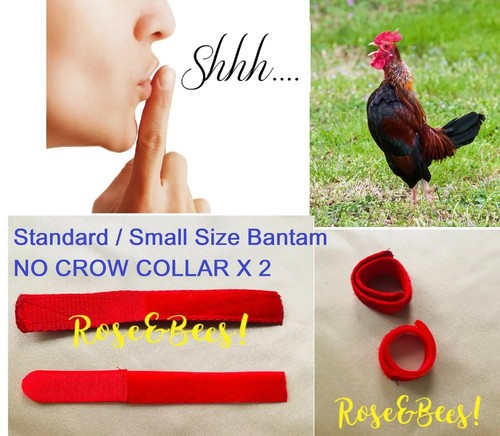 Bantam cockerel rooster - bantam,