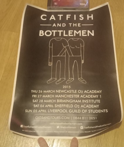 Catfish and the bottlemen - catfish,