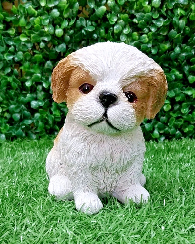 Shih tzu 12cm - , 9cm