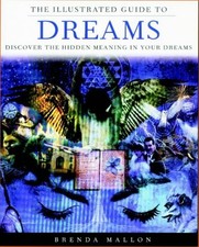 The Illustrated Guide to