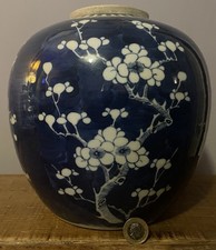 Antique Chinese Prunus Ginger