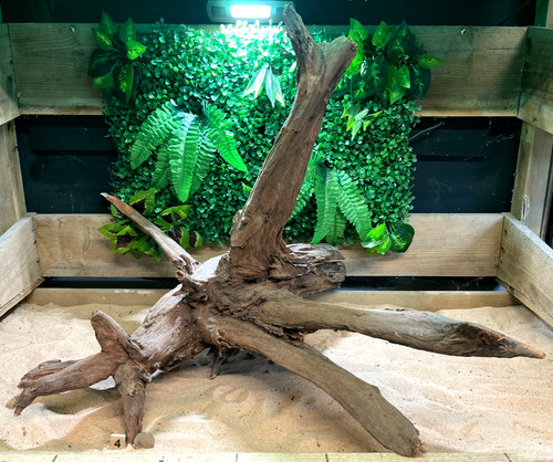 Large corbo root aquarium - large,