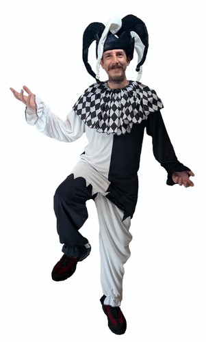 Adults medieval court jester - adults,