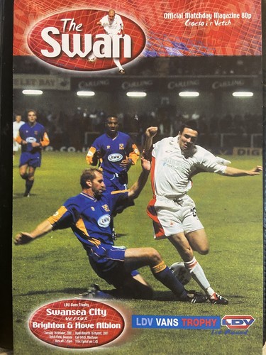 Swansea city brighton hove - city,