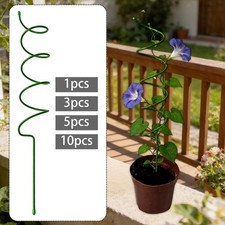 Plant Support Spiral Plant