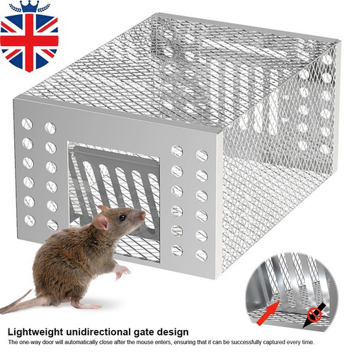 Humane mouse trap - mouse,