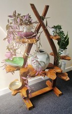 Rustic Display Stand, Plant Stand, Teak Root, Solid Wood