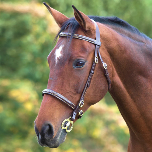 Shires velociti gara fancy - shires,