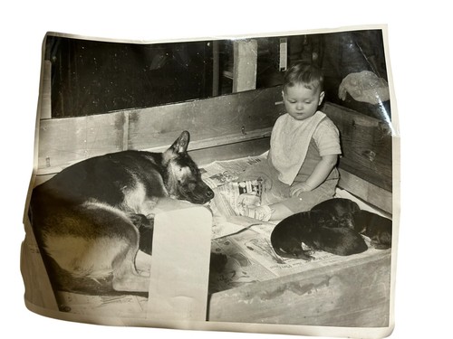 Vintage 1957 black white - vintage,