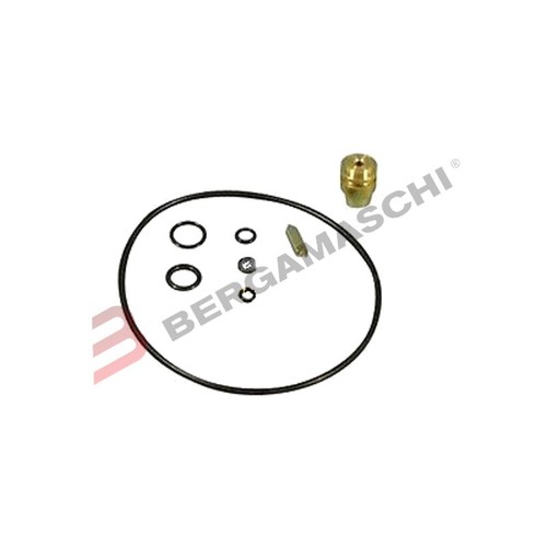 Carburetor overhaul kit - carburetor,
