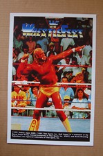 WF Wrestle Fest #3 Arcade