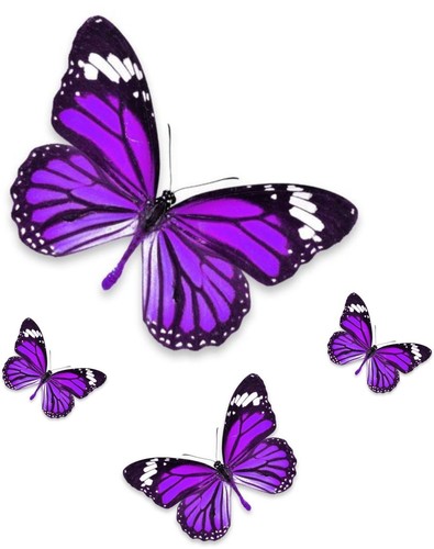 Set sticker decal vinyl - decal, car